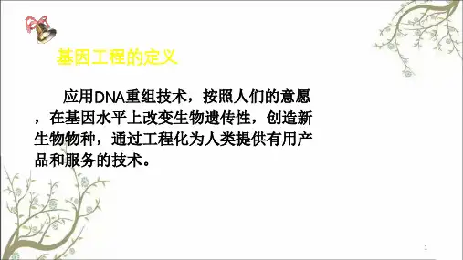 基因工程酶课件