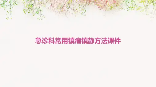 急诊科常用镇痛镇静方法课件