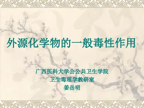 C6一般毒性
