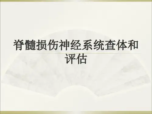 脊髓损伤神经系统评估和查体 