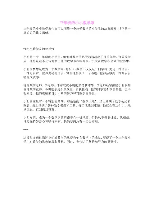 三年级的小小数学家