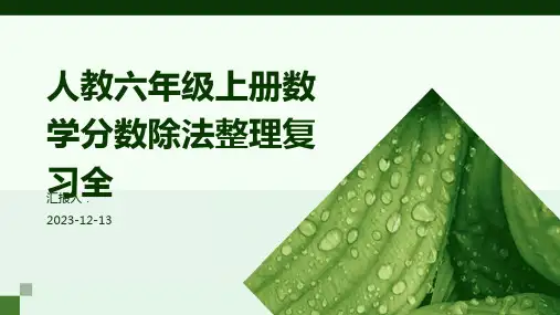 人教六年级上册数学分数除法整理复习全