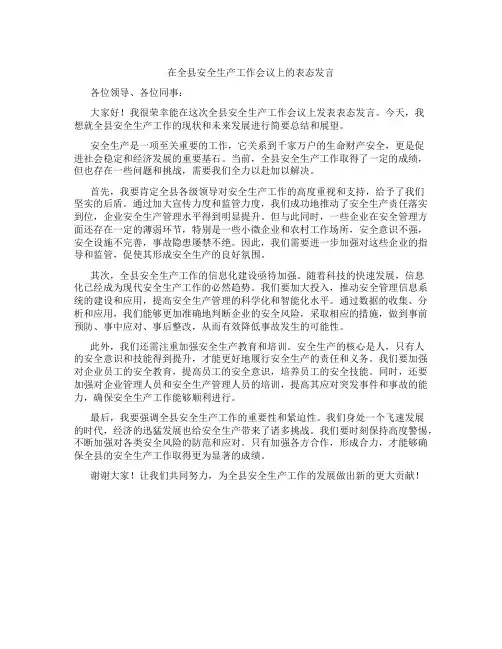 在全县安全生产工作会议上的表态发言