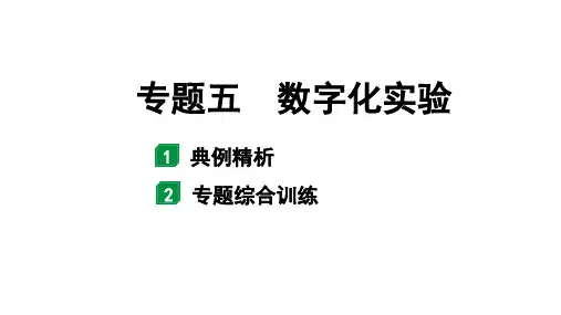 2024海南中考化学二轮重点专题突破 专题五 数字化实验(课件)