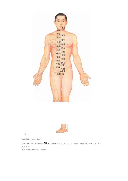 任督二脉及十二经脉图-清晰版+蹲墙功打通任督二脉