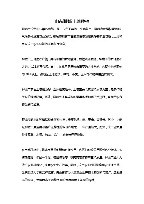 山东聊城土地种植