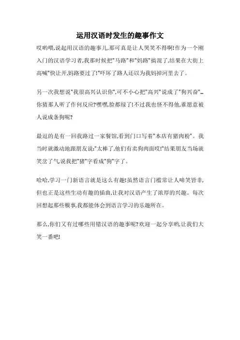 运用汉语时发生的趣事作文