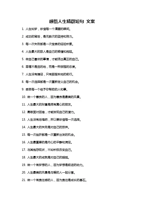 感悟人生精辟短句 文案