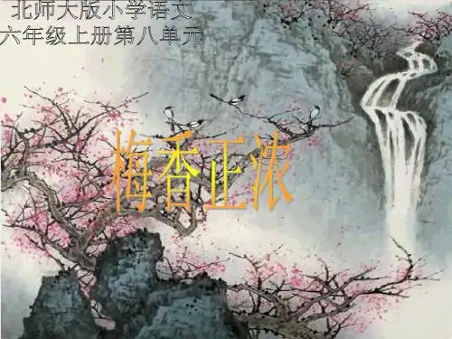 梅香正浓课件(北师大版六年级语文上册课件)