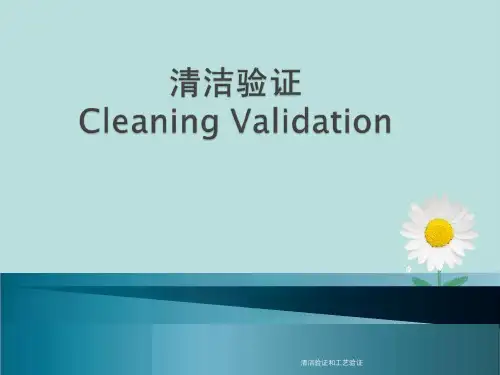 清洁验证和工艺验证