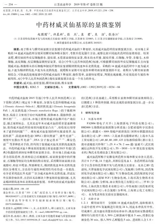 中药材威灵仙基原的显微鉴别