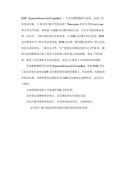 EGSB(膨胀颗粒污泥床)