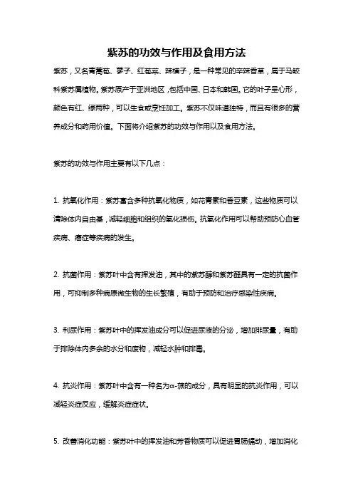 紫苏的功效与作用及食用方法