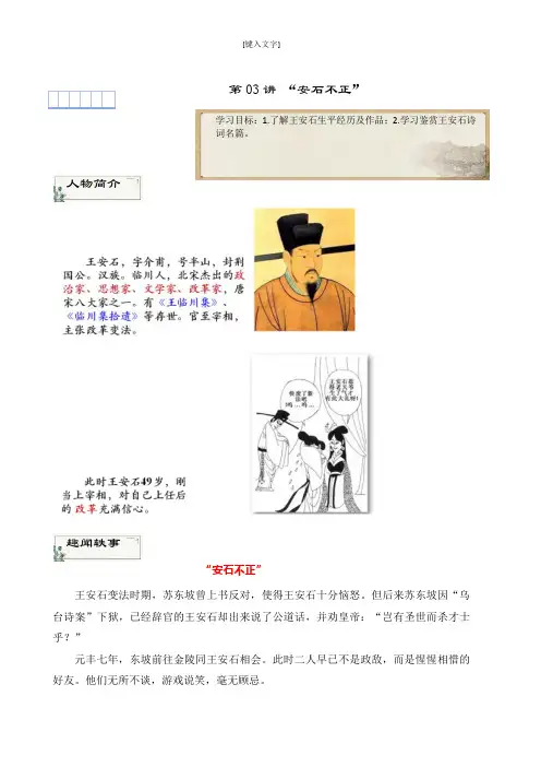 第三课：安石不正