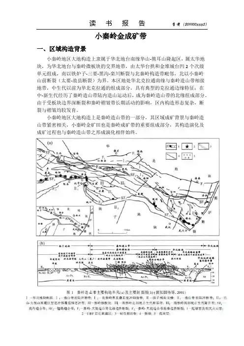小秦岭金成矿带