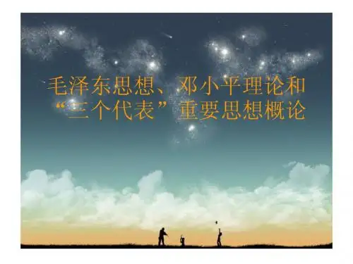 毛概复习资料PPT