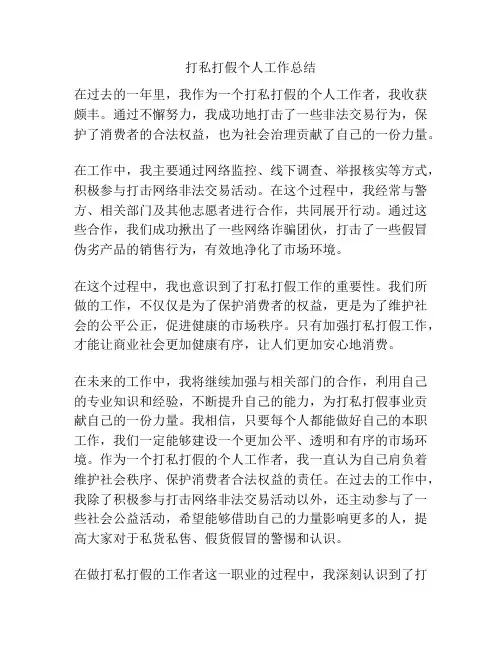 打私打假个人工作总结