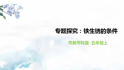 粤教版小学科学五年级上册3.14《专题探究：铁生锈的条件》课件
