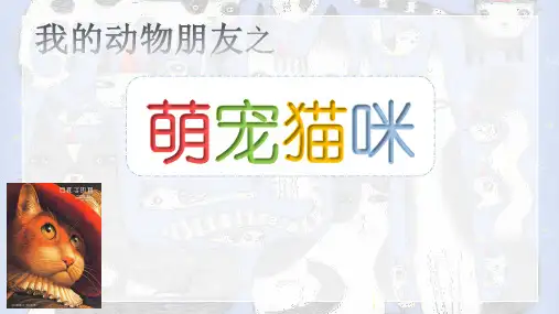 三年级上册美术课件-第13课 我的动物朋友-萌宠猫咪｜苏少版 (共28张PPT)