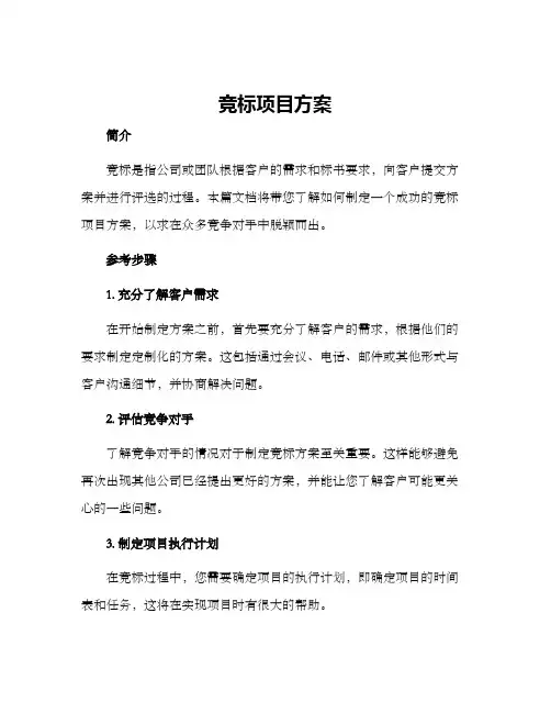 竞标项目方案