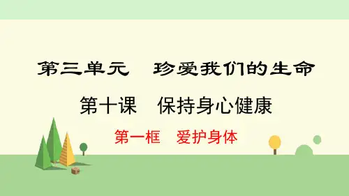 七年级上册 道德与法治   爱护身体