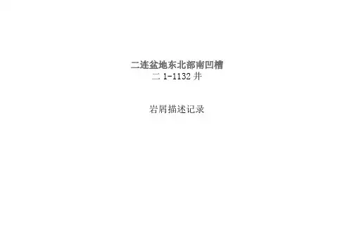 石油钻井 岩屑描述记录