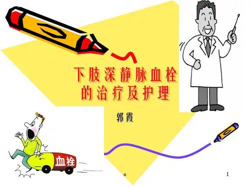 下肢深静脉血栓治疗及护理ppt课件