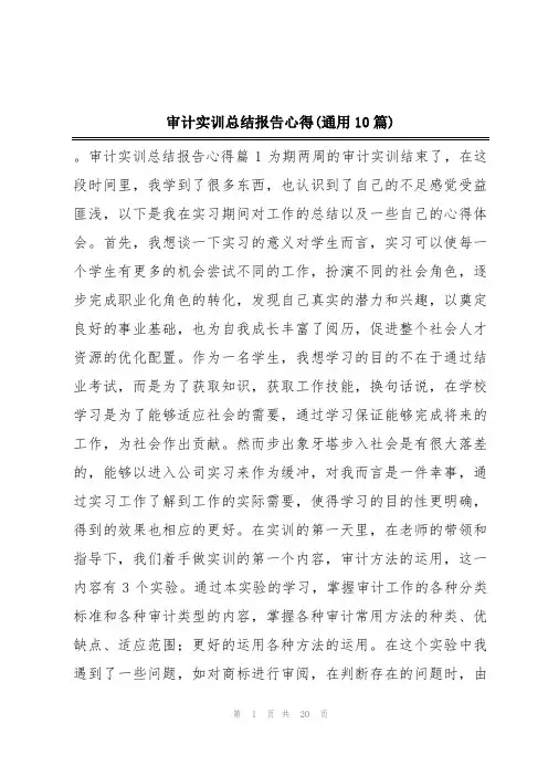 审计实训总结报告心得(通用10篇)