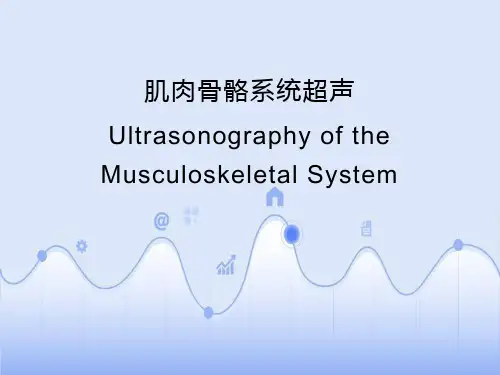 (必备)肌骨超声经典课件