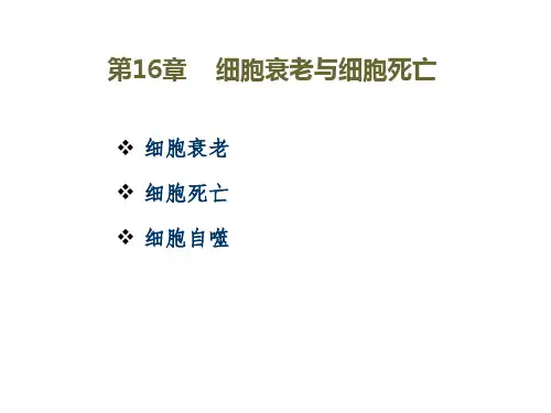 医学细胞生物学细胞衰老和细胞死亡优质课件