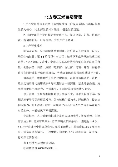 北方春玉米苗期管理