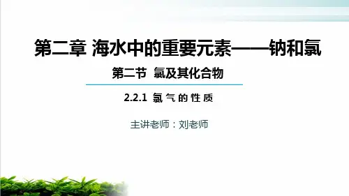 高中化学人教版必修一第二章 第二节 氯气的性质实用课件