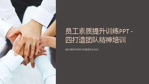 《员工素质提升训练PPT》之四打造团队精神培训