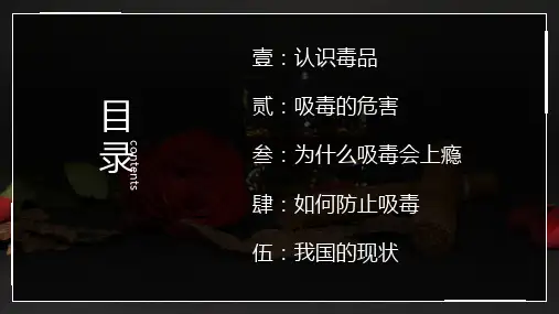 青少年远离毒品禁毒主题PPT专题演示
