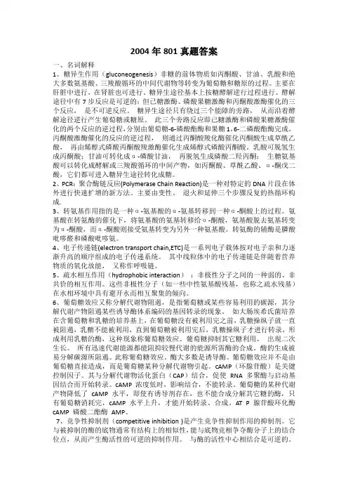 2004年801真题答案