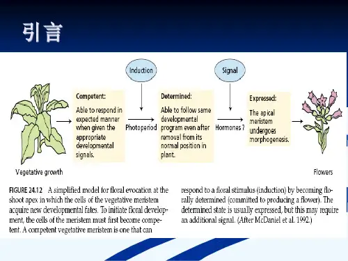 植物学植物的成花生理