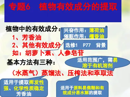 人教版高中生物选修一专题六课题1  植物芳香油的提取  课件(共14张PPT)