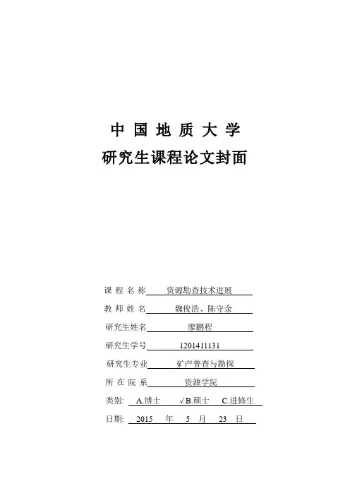 激发极化法应用探析及前景展望(DOC)