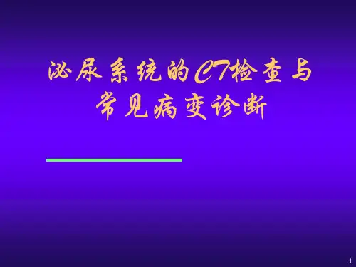 肾脏疾病的CT诊断