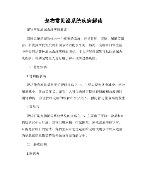 宠物常见泌系统疾病解读