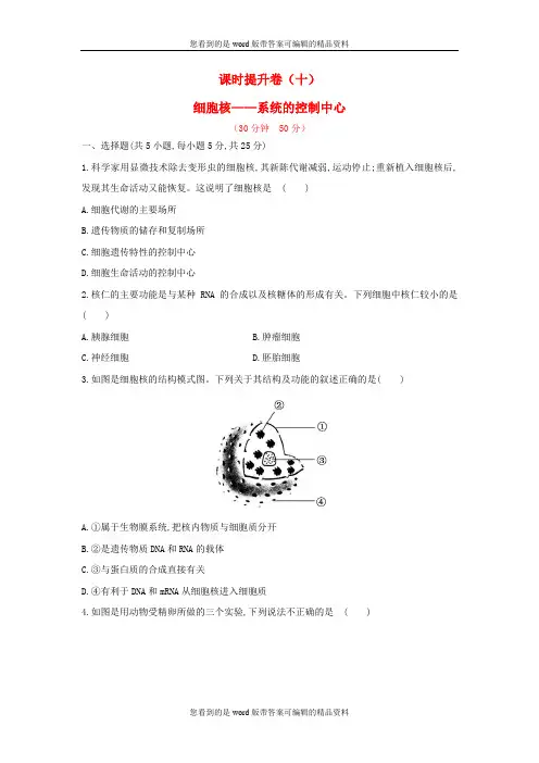 高中生物 课时提升卷(十) 第3章 第3节 细胞核 系统的控制中心(含2013试题,含解析) 新人教版必修1