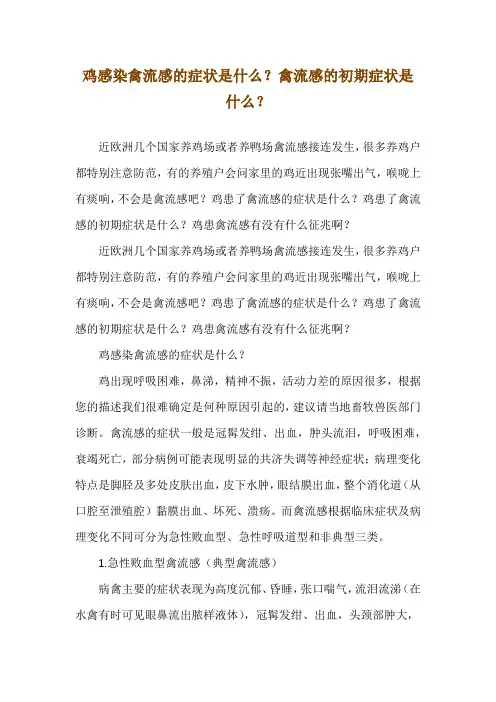鸡感染禽流感的症状是什么？禽流感的初期症状是什么？ 