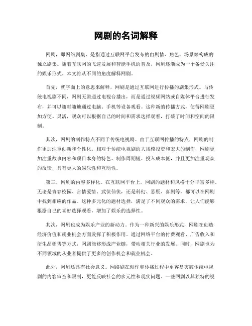 网剧的名词解释