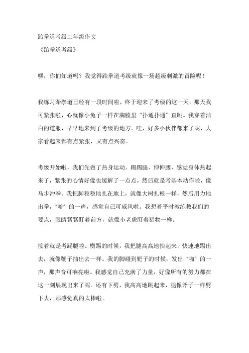 跆拳道考级二年级作文