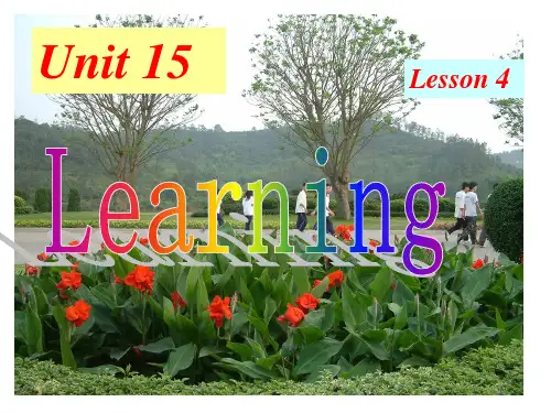 高中英语模块五 Unit 15 Learning Lesson 4 Understanding 精品课件(北师大版)