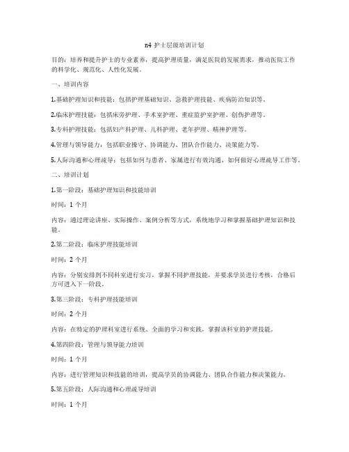 n4护士层级培训计划
