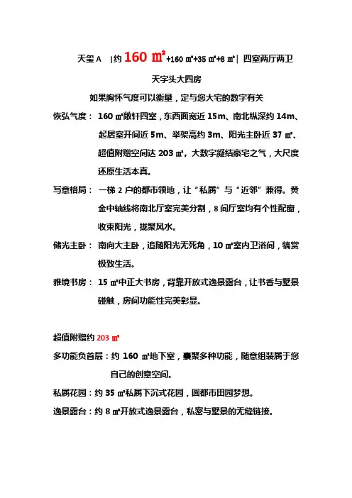 大平层户型说明