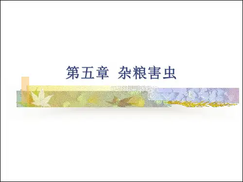 第五章+杂粮害虫