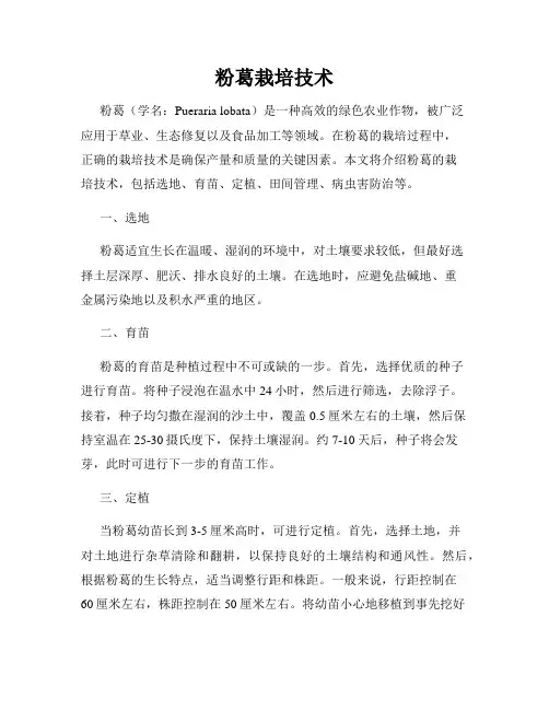粉葛栽培技术