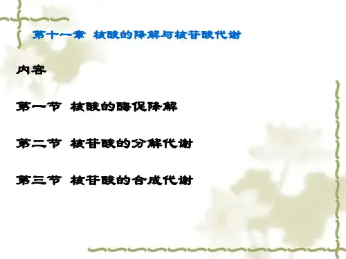 第十一章核酸的降解与核苷酸代谢